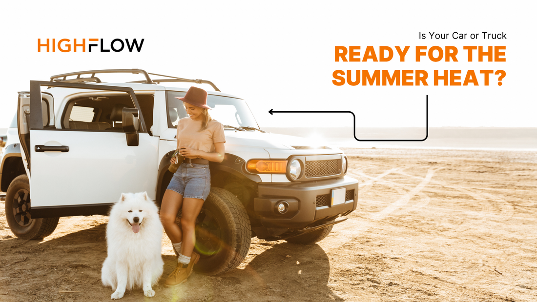 a person is standing near a car with its dog