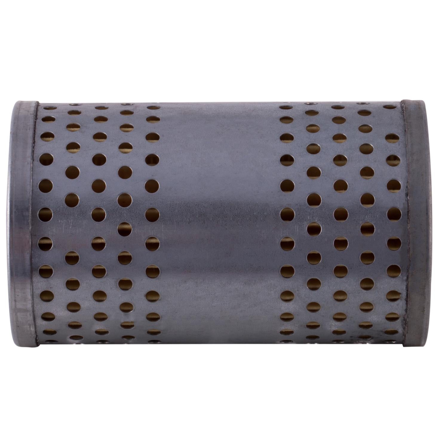 1979 Chevrolet C60 Fuel Filter  PF1