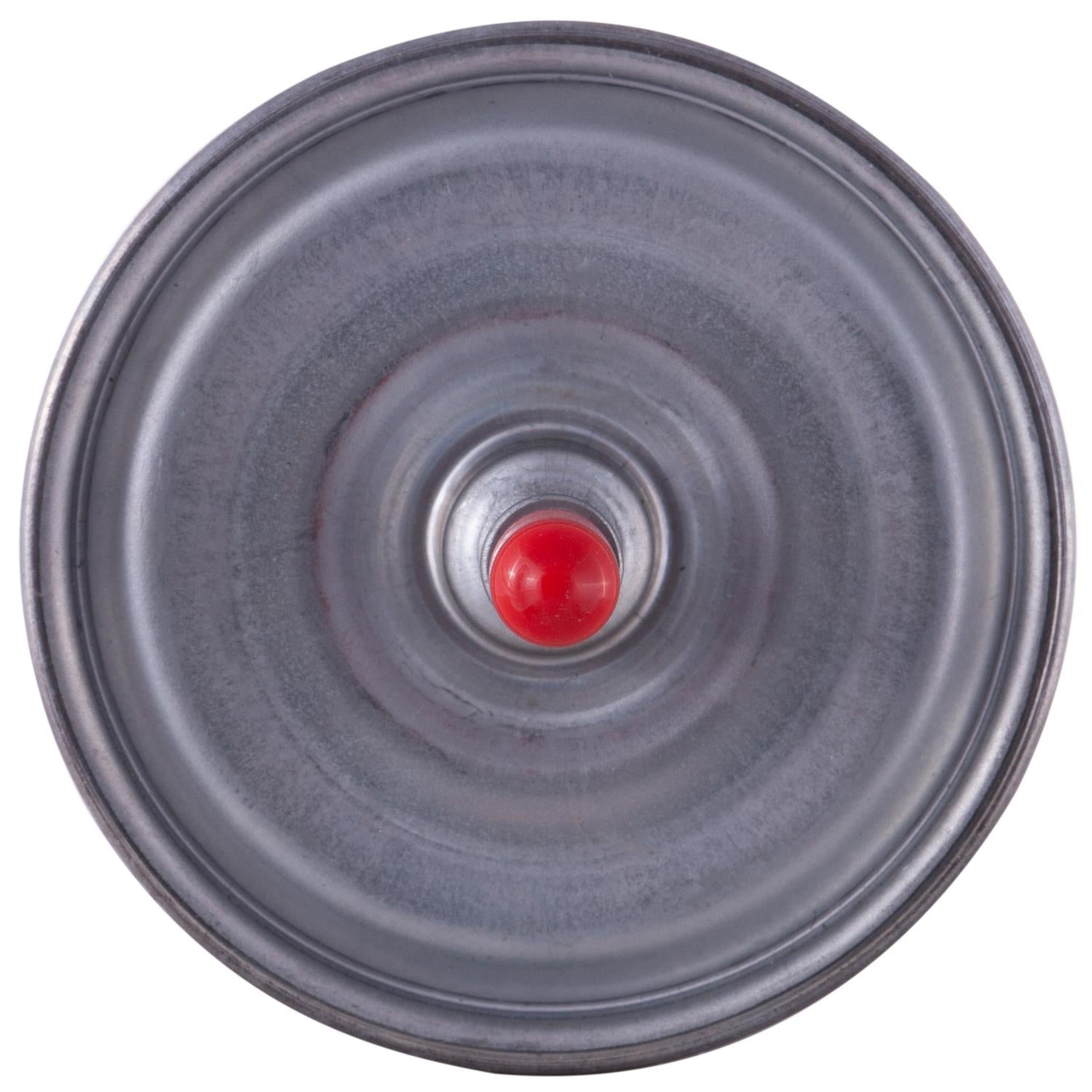 1990 Ford F-53 Motorhome Chassis Fuel Filter PF3802