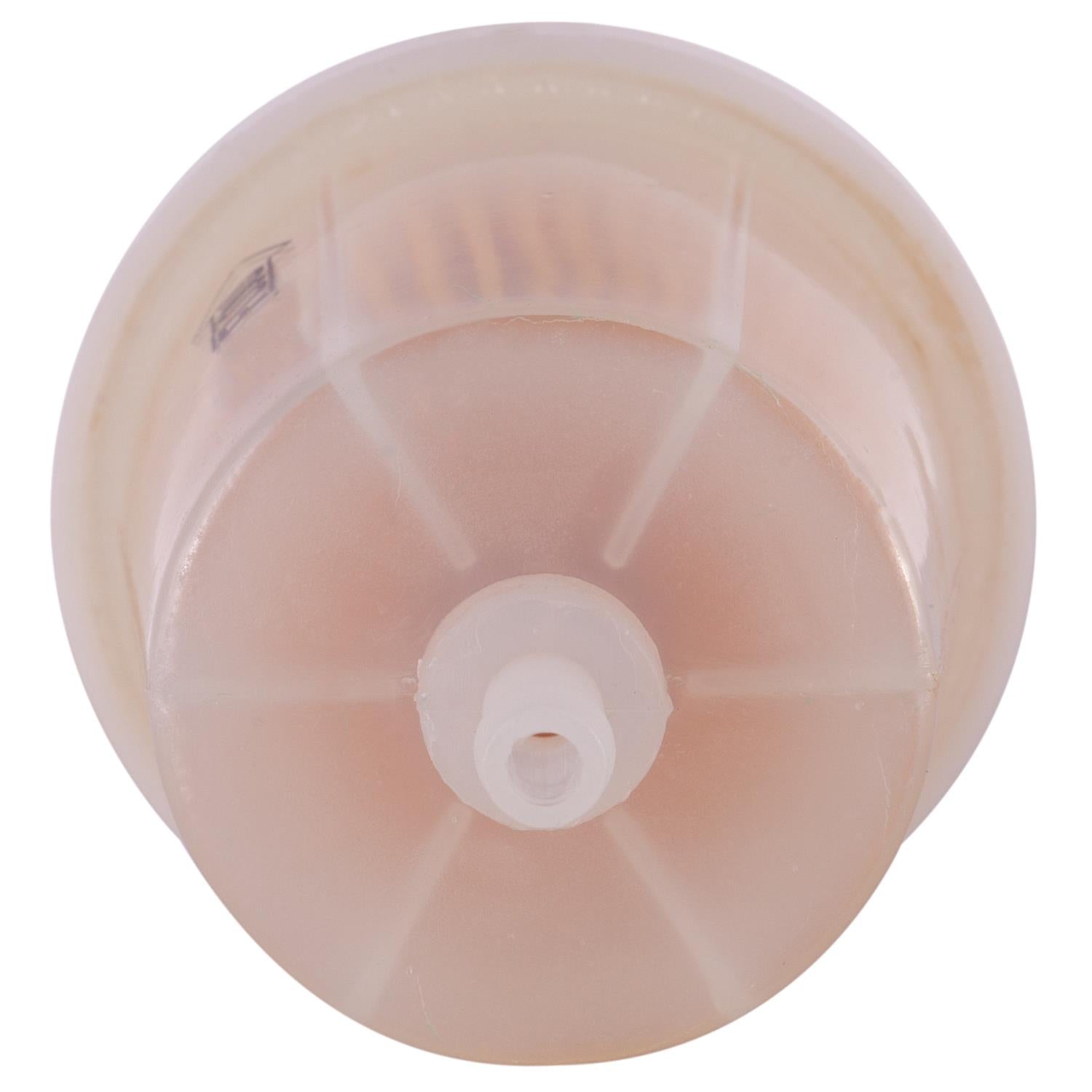1976 Dodge W100 Fuel Filter  PL1/4