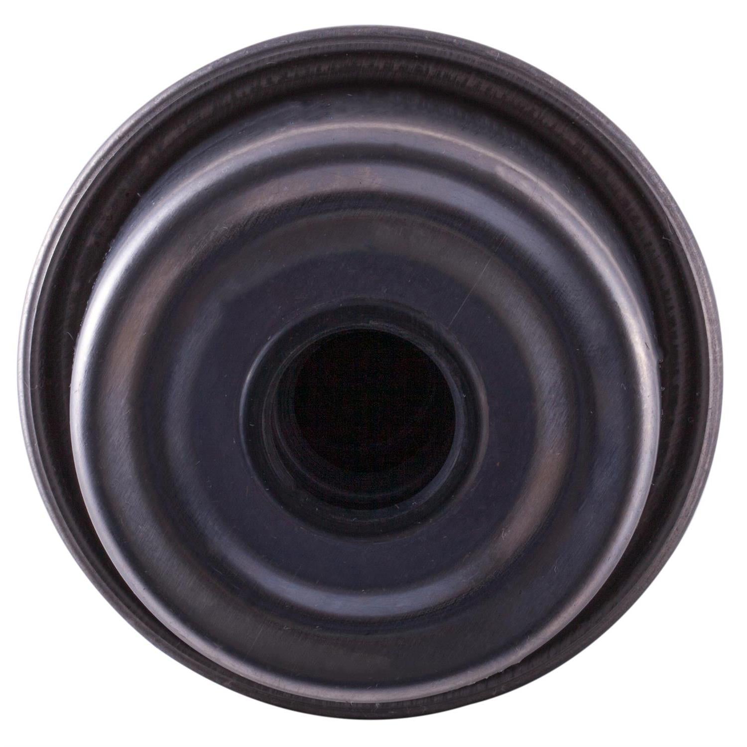 PG DF5299 Diesel Fuel Filter | Fits 2002 Workhorse FasTrack FT1802