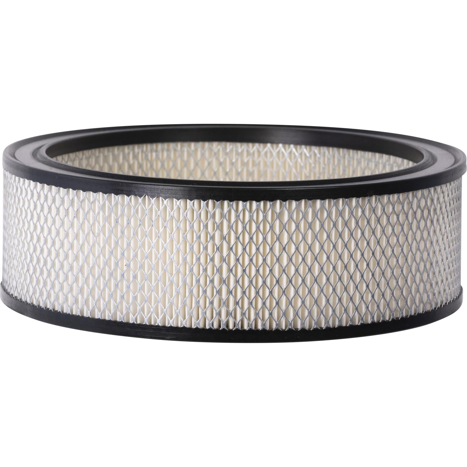 PG HA40005 Engine Air Filter | Fits 1979 Dodge D100