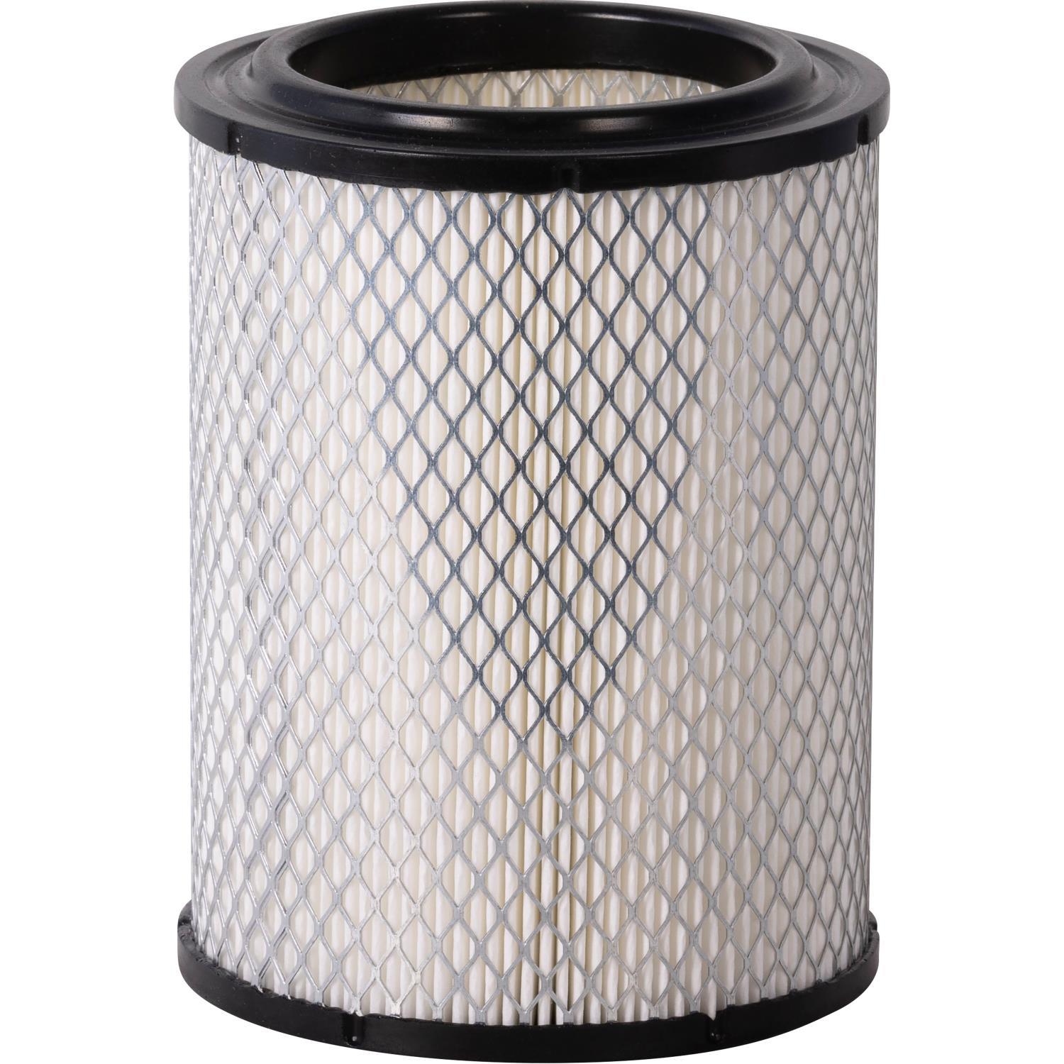 PG PA80206 Engine Air Filter | Fits 1977 Renault R12