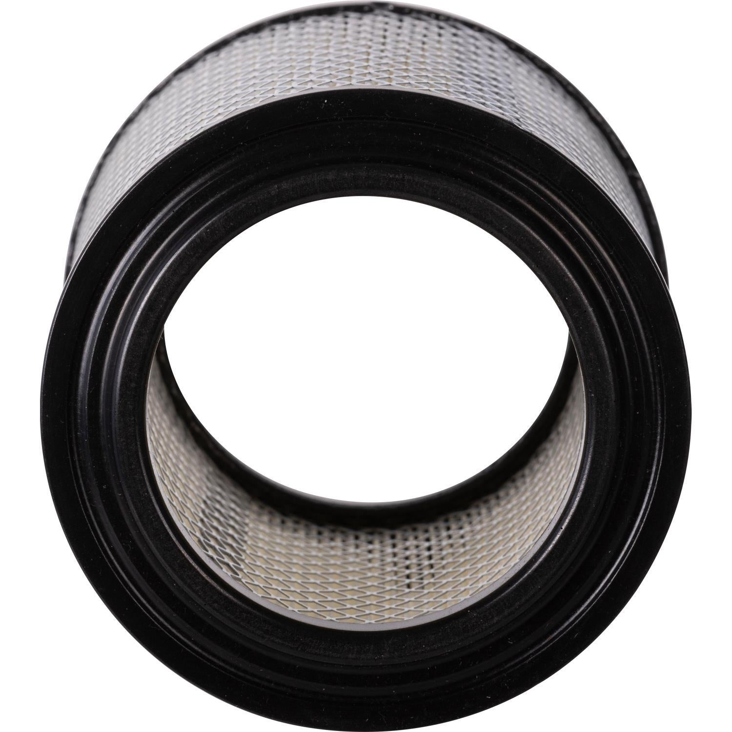 PG PA80206 Engine Air Filter | Fits 1979 Renault R12