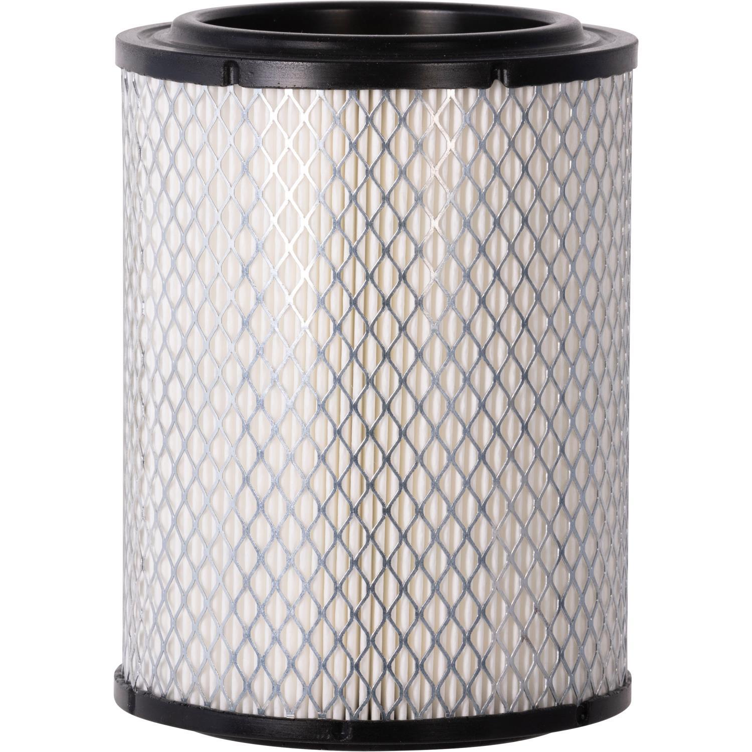 PG PA80206 Engine Air Filter | Fits 1977 Renault R12