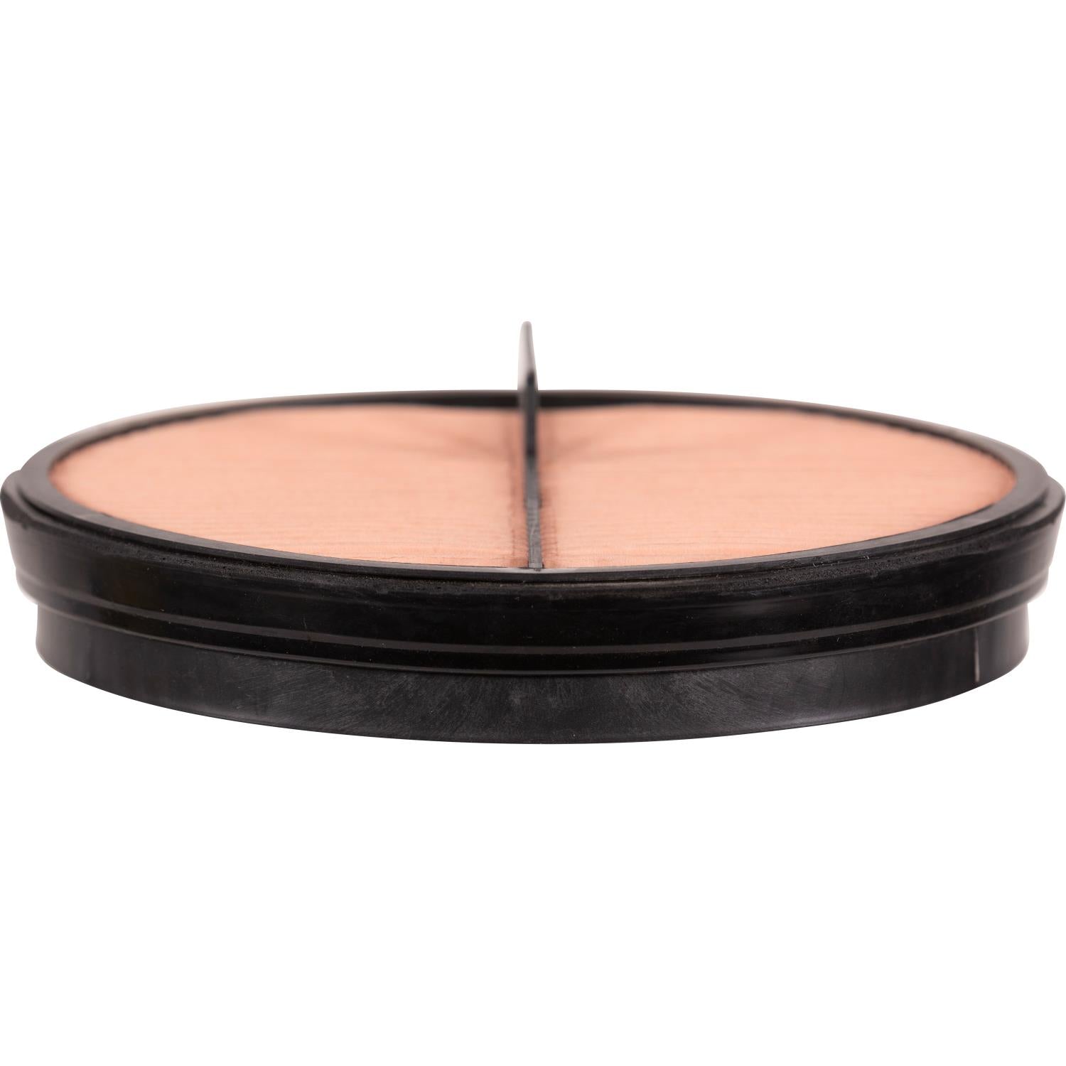 PG HA40209 Engine Air Filter | Fits 2024 Freightliner 114SD