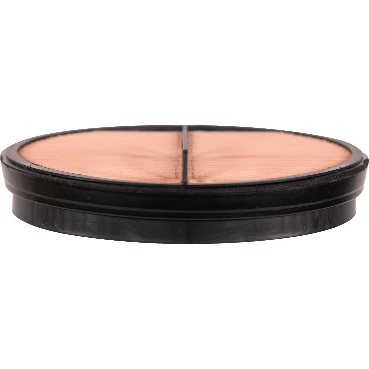 PG HA40209 Engine Air Filter | Fits 2027 Freightliner 114SD