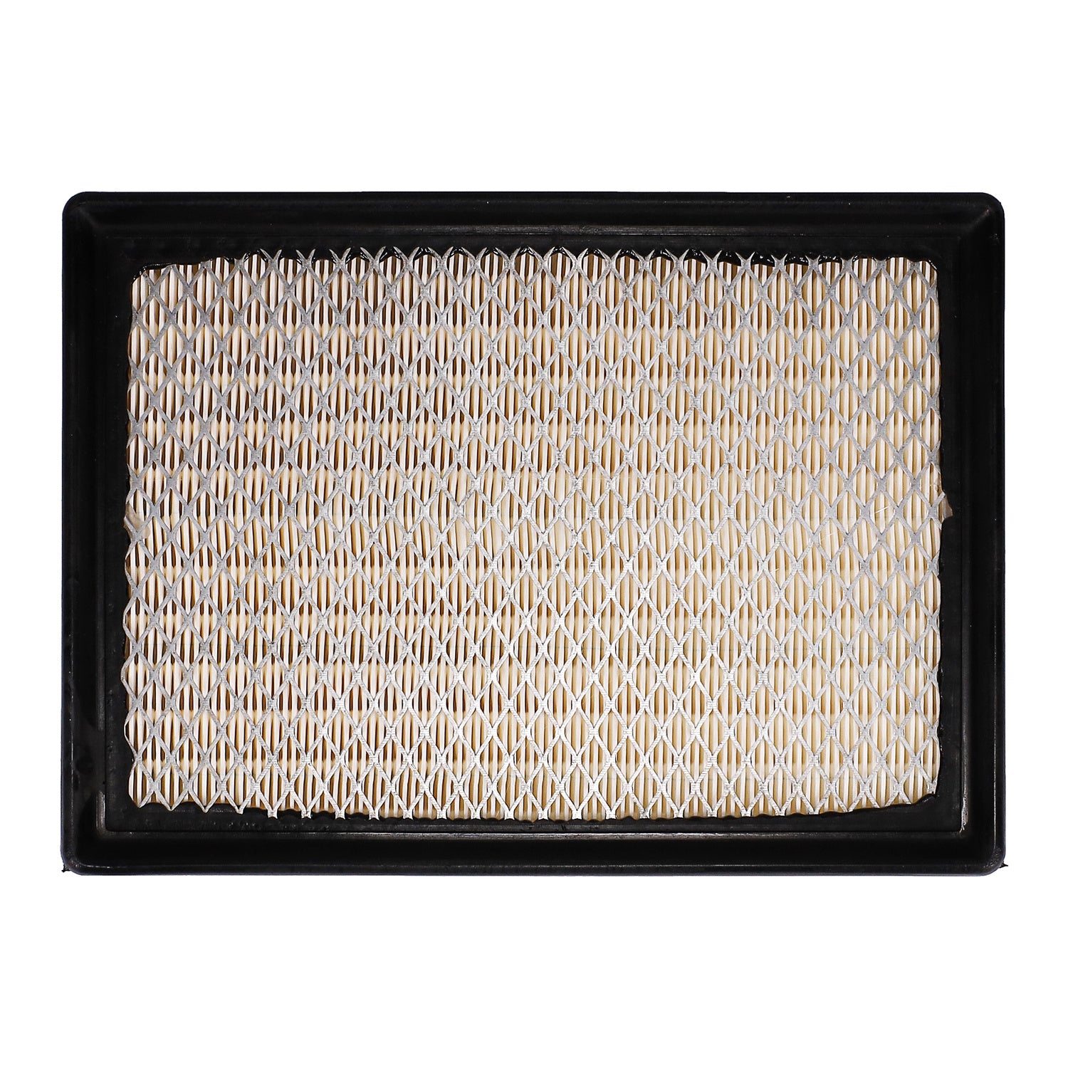 PG PA5560 Engine Air Filter | Fits 2009 Chrysler 300