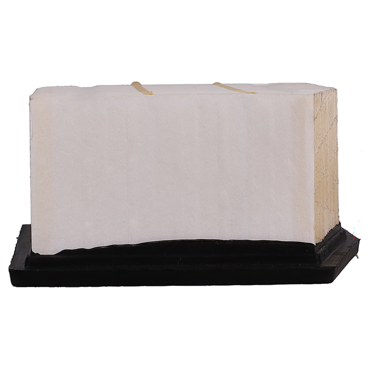 PG PA5565 Engine Air Filter | Fits 2010 Holiday Rambler Atlantis
