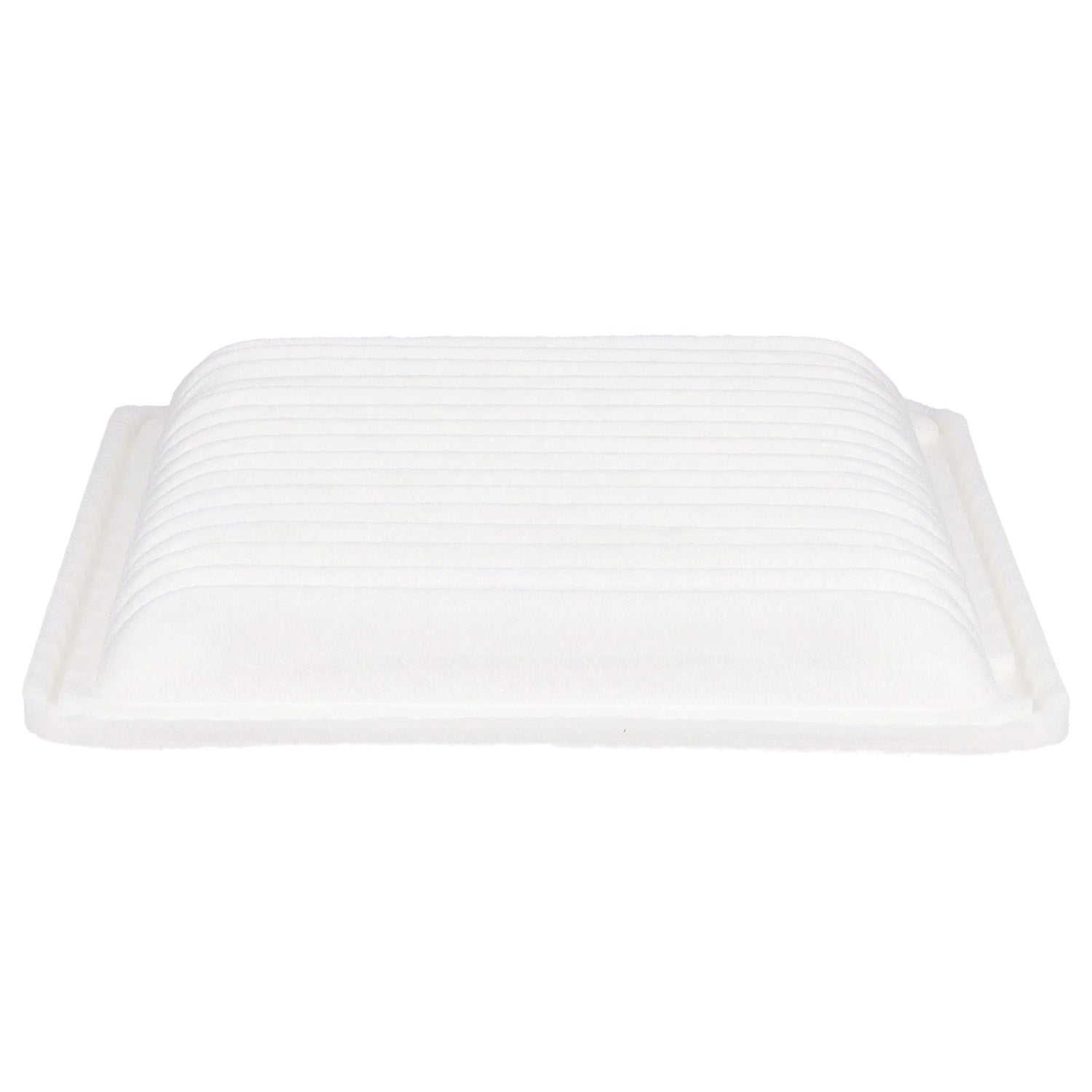 PG PA5649 Engine Air Filter | Fits 2009 Toyota Camry