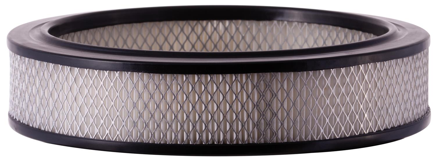 PG PA113 Engine Air Filter | Fits 1978 Ford F-150