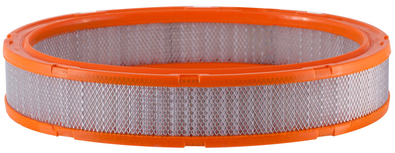 PG PA3137 Engine Air Filter | Fits 1979 Pontiac Sunbird