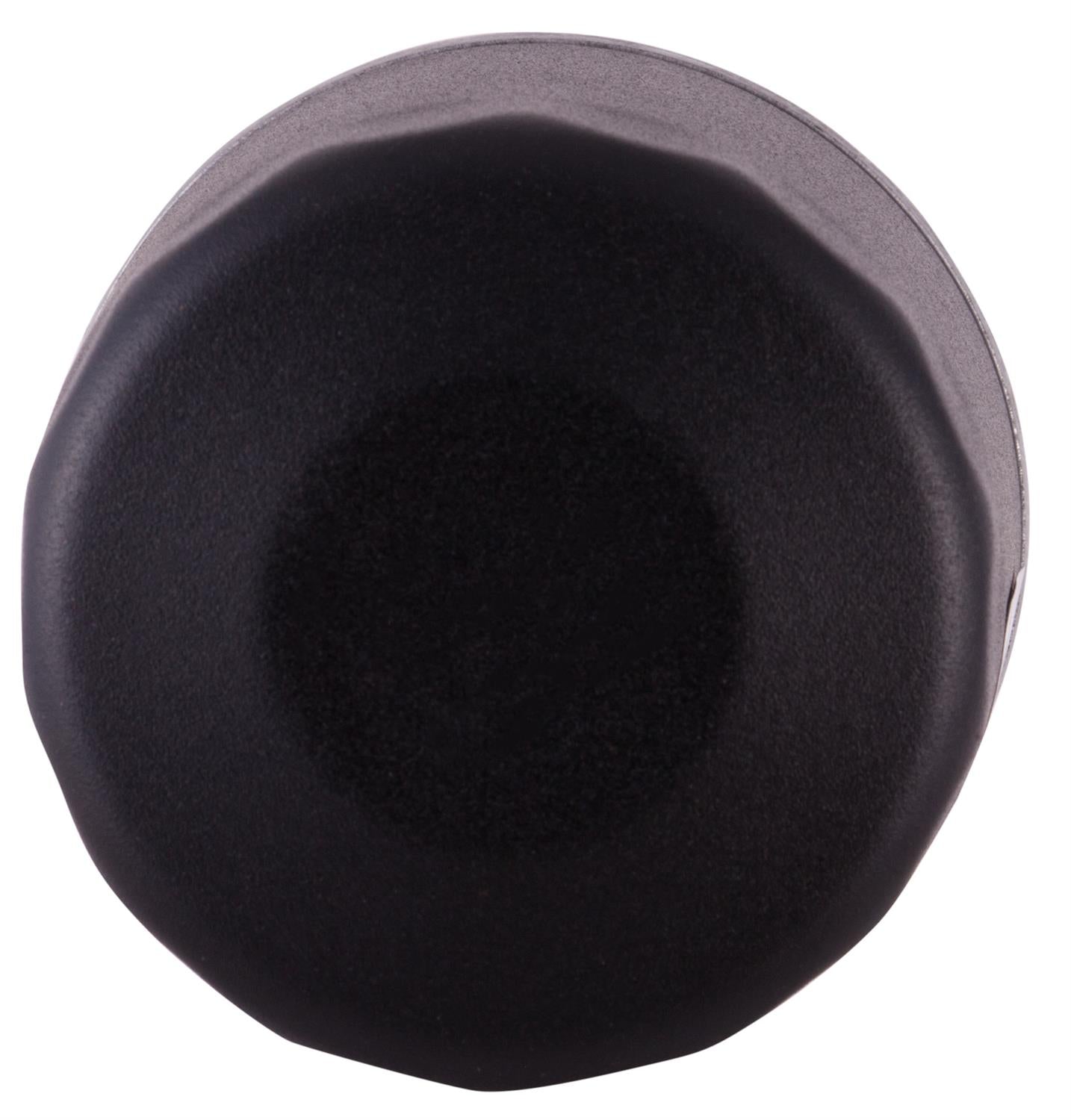 2006 Pontiac Grand Prix Oil Filter  PG4006EX
