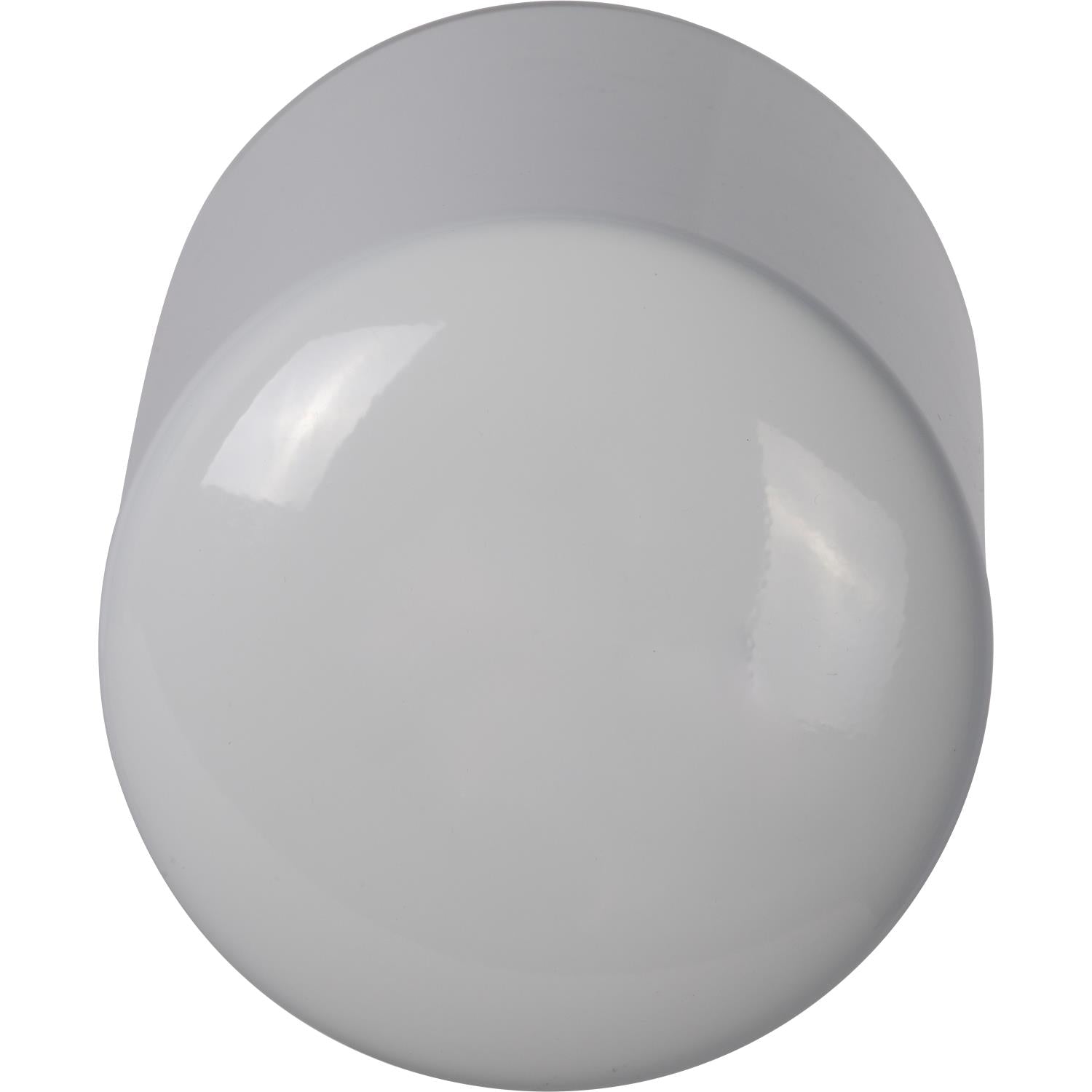 PG DF30196 Diesel Fuel Filter | Fits 2017 Spartan Motors Gladiator