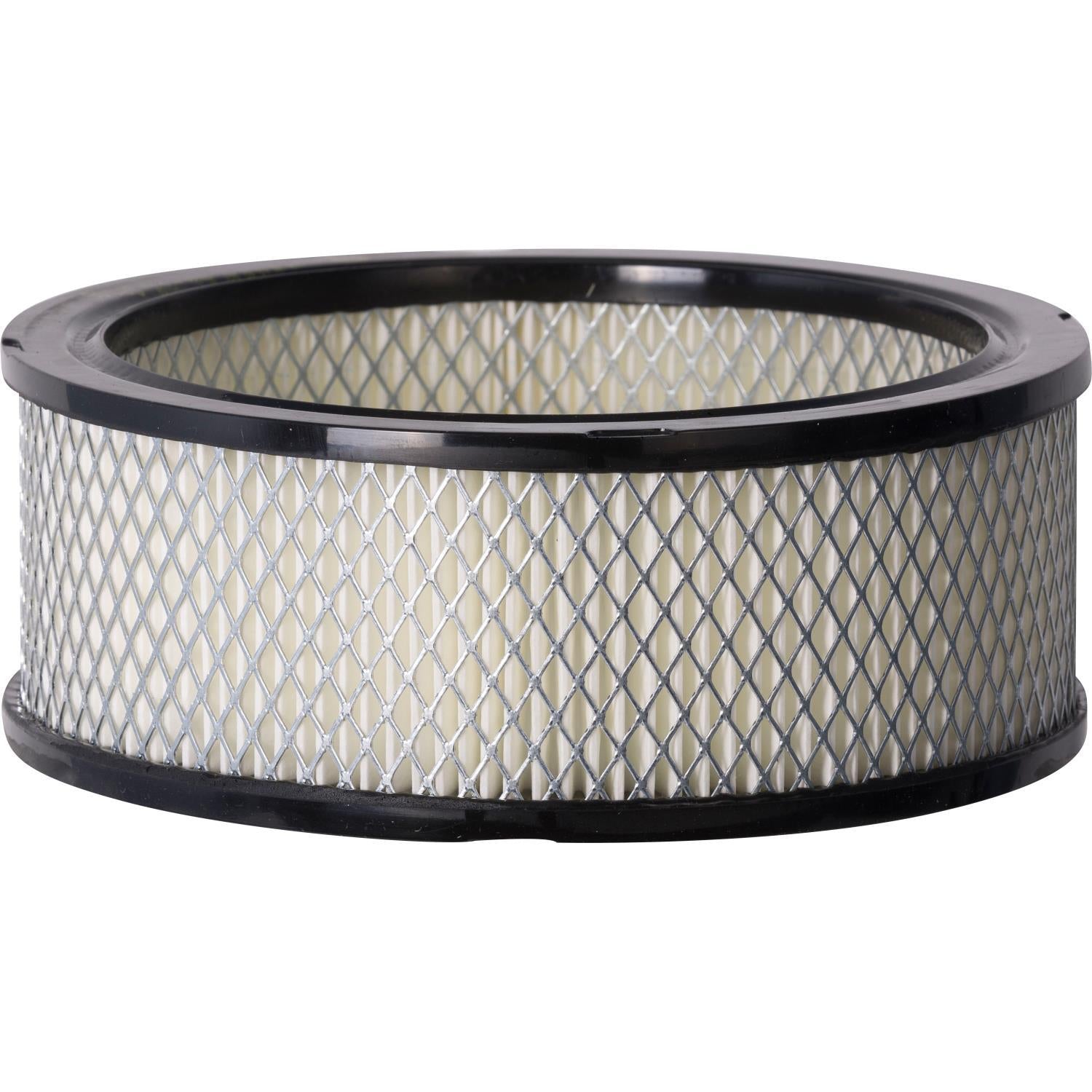 PG PA52 Engine Air Filter | Fits 1977 Dodge Aspen