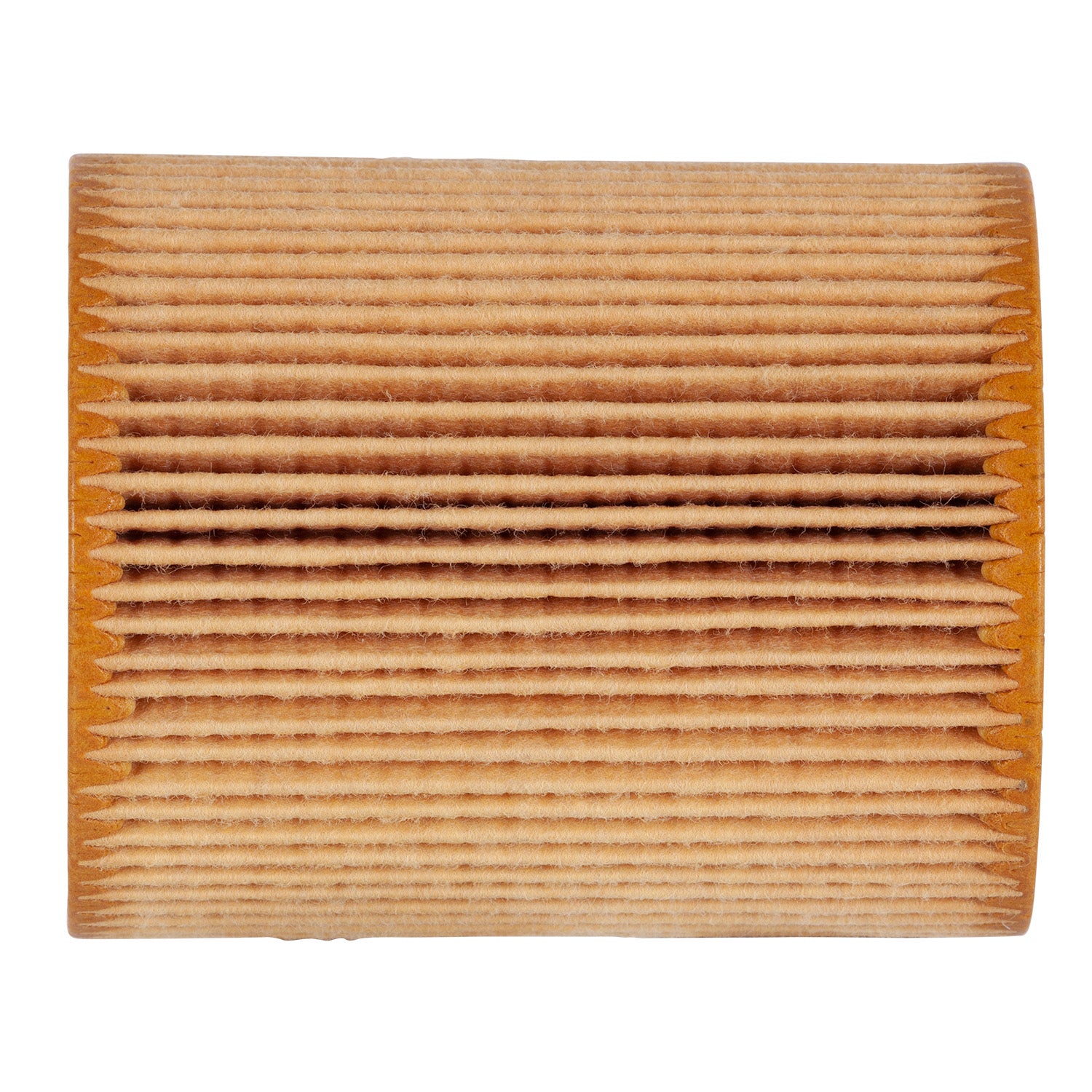 2018 Ford F-150 Oil Filter  PG99231EX